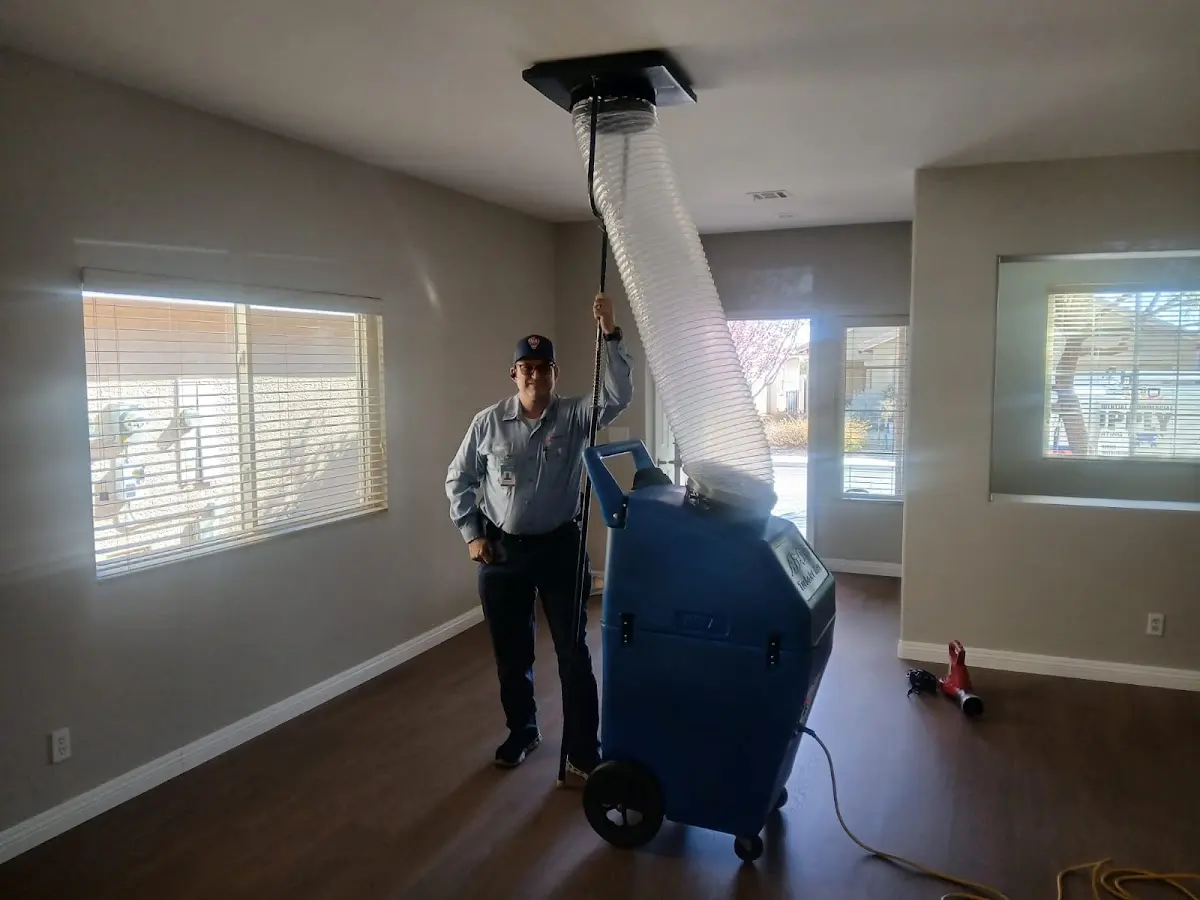 Professional Dryer Vent Cleaning work inside a Overlea home